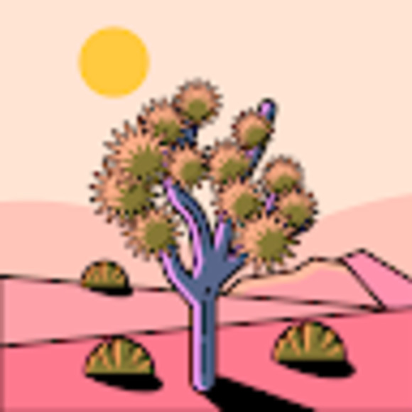 Meet your Posher, Lola-grace - Picture 1 of 1